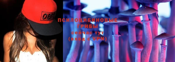 ГАЛЛЮЦИНОГЕННЫЕ ГРИБЫ Куйбышев