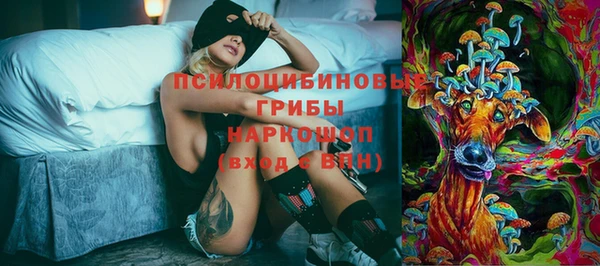 ГАЛЛЮЦИНОГЕННЫЕ ГРИБЫ Куйбышев