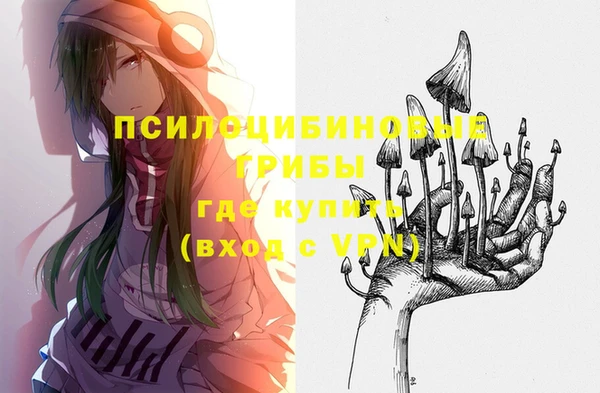 ешки Кукмор