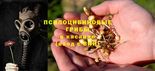 ешки Кукмор